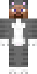 Steve Minecraft Skin | MCProfiles